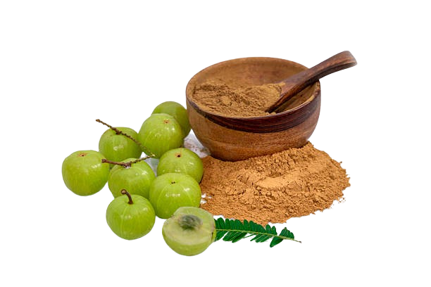 Dried Amla Powder
