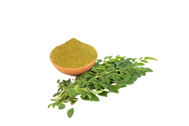 Dried Moringa Leaves Powder