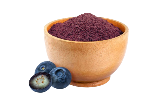 Spray Dried Blue Berry Powder