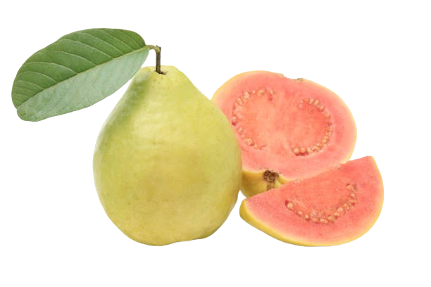 Spray Dried Pink Guava Powder